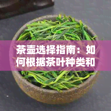 茶壶选择指南：如何根据茶叶种类和冲泡方式挑选合适的茶壶