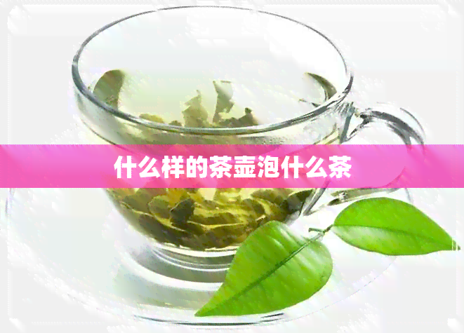 什么样的茶壶泡什么茶