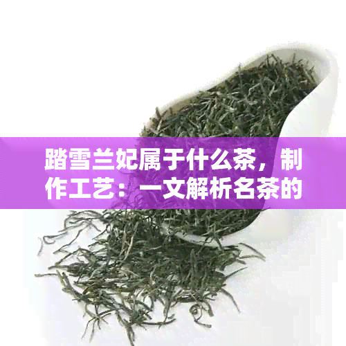 踏雪兰妃属于什么茶，制作工艺：一文解析名茶的种类与特色