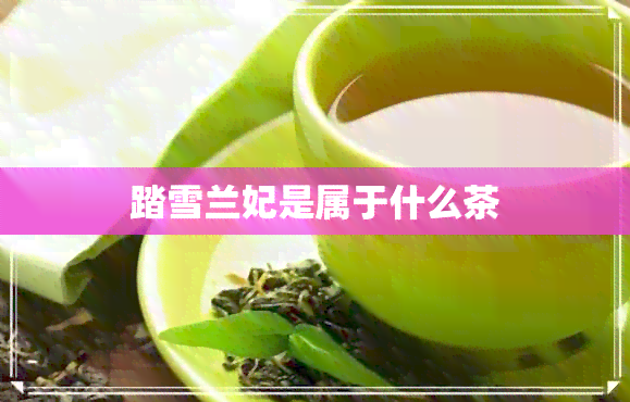 踏雪兰妃是属于什么茶