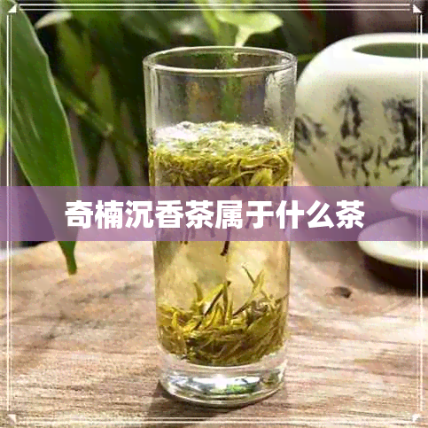 奇楠沉香茶属于什么茶