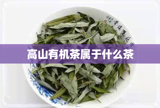 高山有机茶属于什么茶