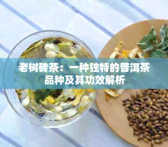 老树砖茶：一种独特的普洱茶品种及其功效解析