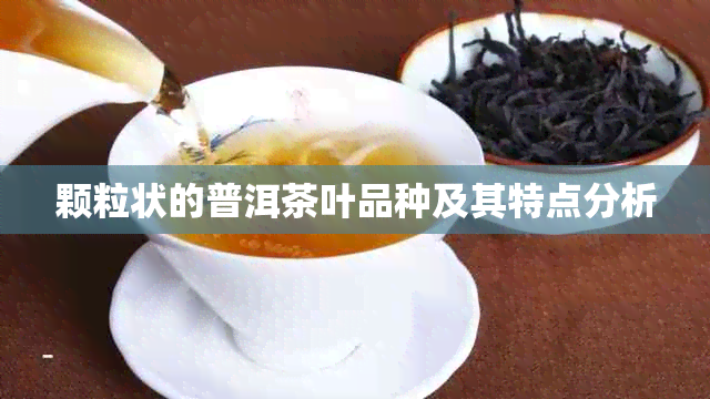 颗粒状的普洱茶叶品种及其特点分析