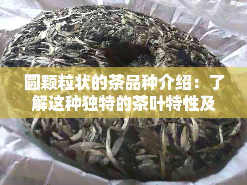 圆颗粒状的茶品种介绍：了解这种独特的茶叶特性及口感