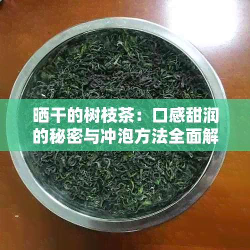 晒干的树枝茶：口感甜润的秘密与冲泡方法全面解析