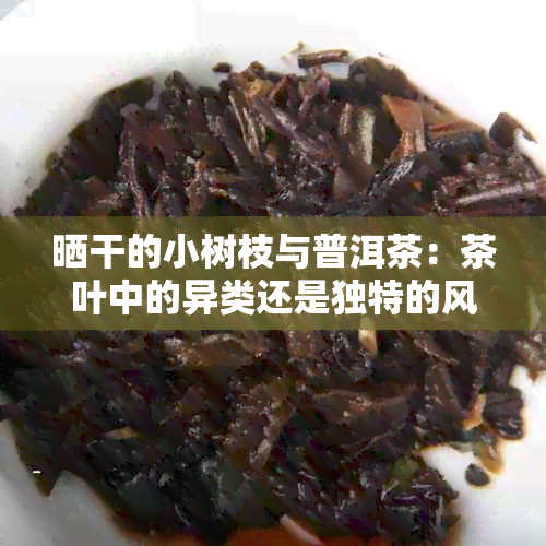 晒干的小树枝与普洱茶：茶叶中的异类还是独特的风味？