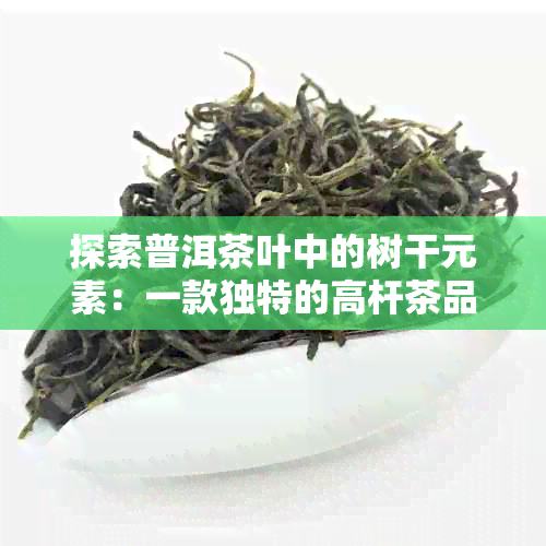 探索普洱茶叶中的树干元素：一款独特的高杆茶品解读