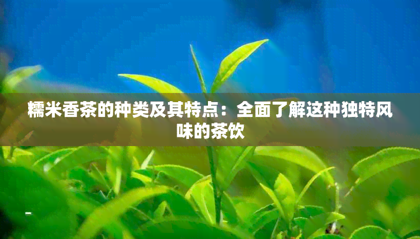 糯米香茶的种类及其特点：全面了解这种独特风味的茶饮