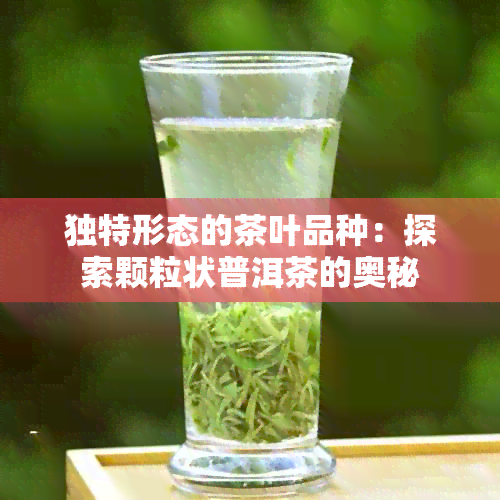 独特形态的茶叶品种：探索颗粒状普洱茶的奥秘