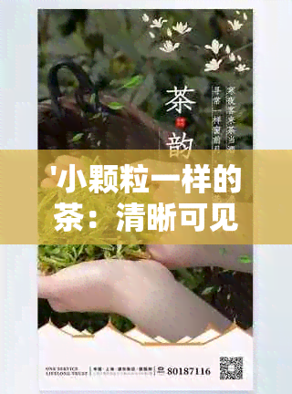 '小颗粒一样的茶：清晰可见的茶叶颗粒，独特口感的茶粉冲泡体验'