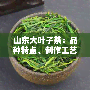 山东大叶子茶：品种特点、制作工艺和品饮方法的全面解析