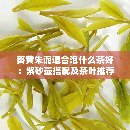 葵黄朱泥适合泡什么茶好：紫砂壶搭配及茶叶推荐