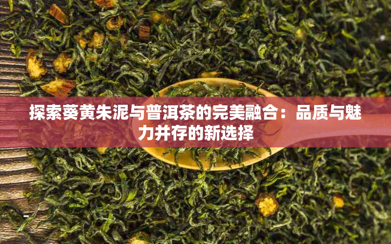 探索葵黄朱泥与普洱茶的完美融合：品质与魅力并存的新选择