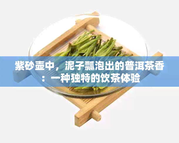 紫砂壶中，泥子瓢泡出的普洱茶香：一种独特的饮茶体验