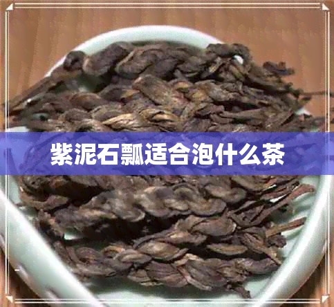 紫泥石瓢适合泡什么茶