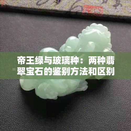 帝王绿与玻璃种：两种翡翠宝石的鉴别方法和区别详解，帮助你轻松挑选