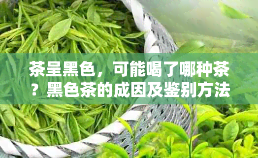 茶呈黑色，可能喝了哪种茶？黑色茶的成因及鉴别方法解析