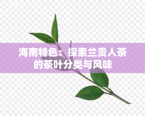 海南特色：探索兰贵人茶的茶叶分类与风味