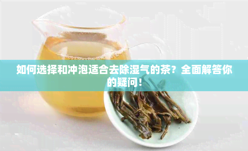 如何选择和冲泡适合去除湿气的茶？全面解答你的疑问！