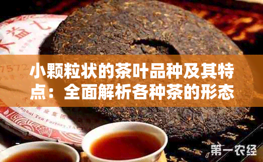 小颗粒状的茶叶品种及其特点：全面解析各种茶的形态特征