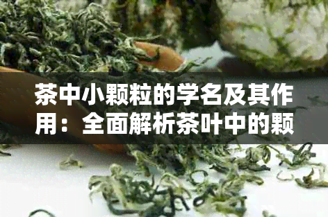 茶中小颗粒的学名及其作用：全面解析茶叶中的颗粒物