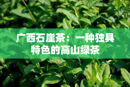 广西石崖茶：一种独具特色的高山绿茶