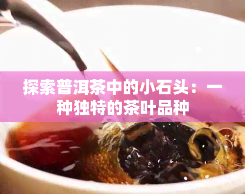 探索普洱茶中的小石头：一种独特的茶叶品种