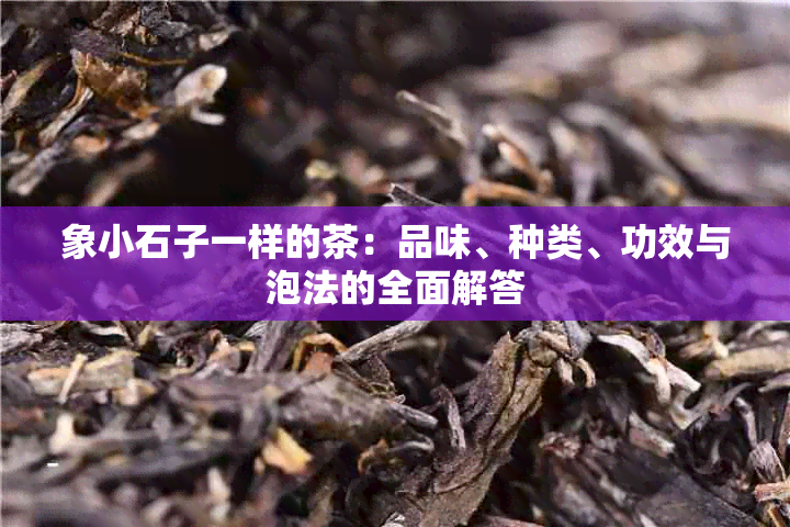 象小石子一样的茶：品味、种类、功效与泡法的全面解答