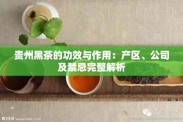 贵州黑茶的功效与作用：产区、公司及禁忌完整解析