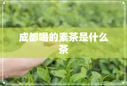 成都喝的素茶是什么茶