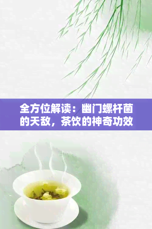 全方位解读：幽门螺杆菌的天敌，茶饮的神奇功效及其适用种类