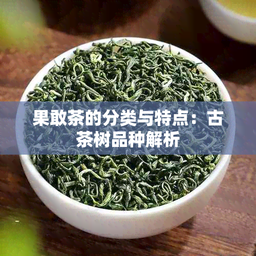 果敢茶的分类与特点：古茶树品种解析