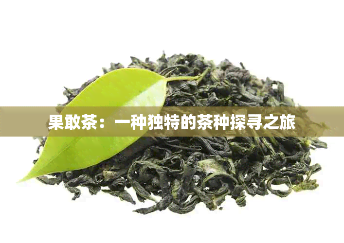 果敢茶：一种独特的茶种探寻之旅