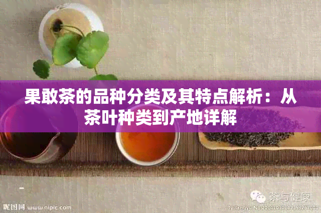 果敢茶的品种分类及其特点解析：从茶叶种类到产地详解