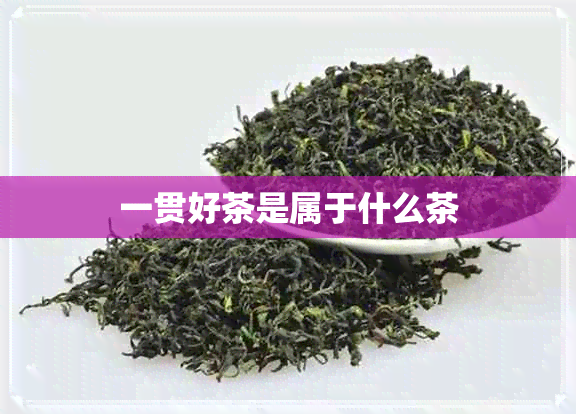 一贯好茶是属于什么茶