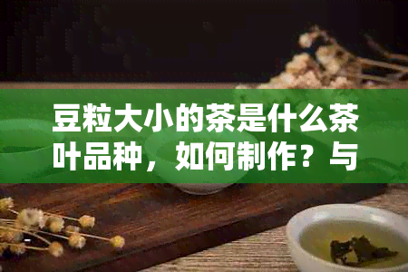 豆粒大小的茶是什么茶叶品种，如何制作？与豆粒大小的斑有何关系？