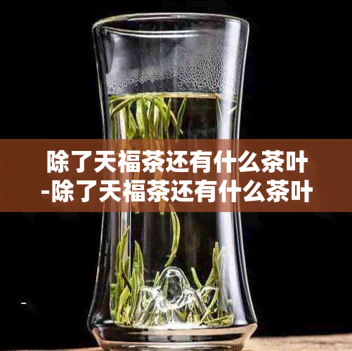 除了天福茶还有什么茶叶-除了天福茶还有什么茶叶好喝