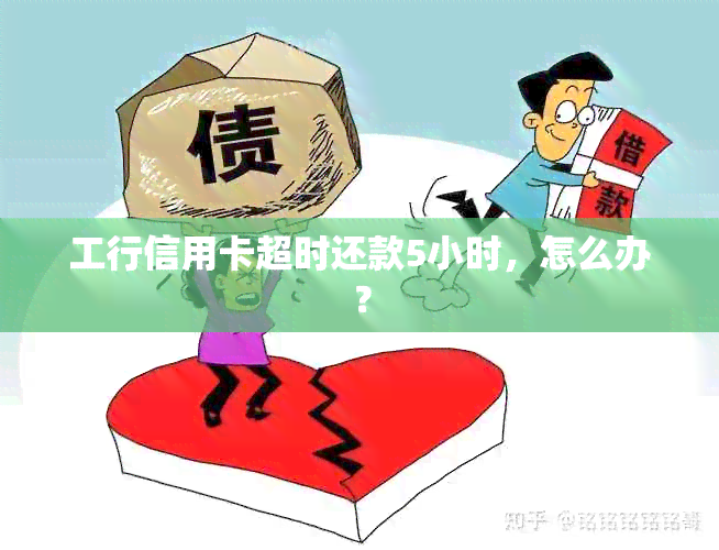 工行信用卡超时还款5小时，怎么办？