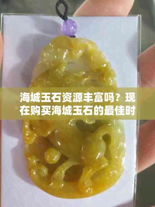 海城玉石资源丰富吗？现在购买海城玉石的更佳时机是什么时候？