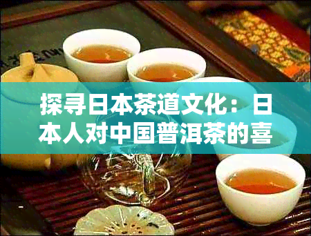 探寻茶道文化：人对中国普洱茶的喜好与鉴