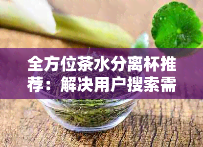 全方位茶水分离杯推荐：解决用户搜索需求的完整指南