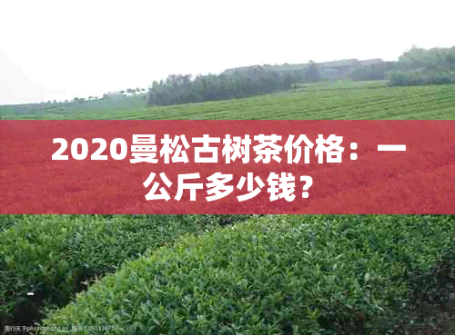 2020曼松古树茶价格：一公斤多少钱？