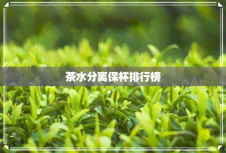 茶水分离保杯排行榜