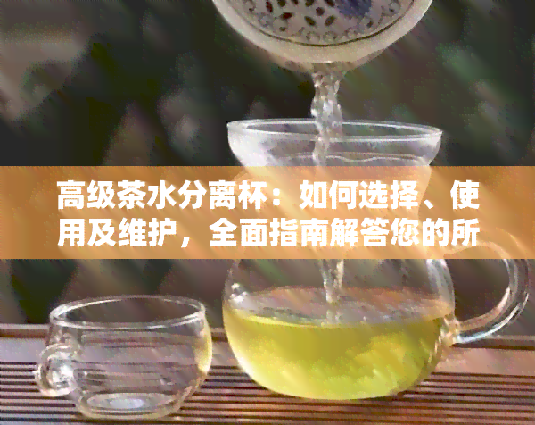 高级茶水分离杯：如何选择、使用及维护，全面指南解答您的所有疑问