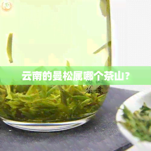 云南的曼松属哪个茶山？