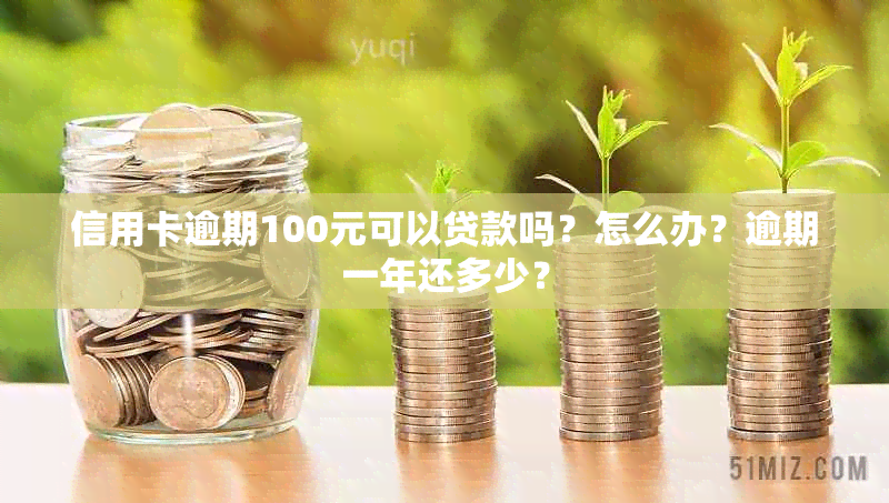 信用卡逾期100元可以贷款吗？怎么办？逾期一年还多少？