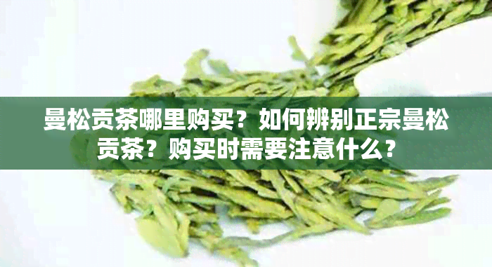 曼松贡茶哪里购买？如何辨别正宗曼松贡茶？购买时需要注意什么？