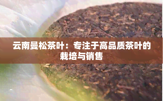 云南曼松茶叶：专注于高品质茶叶的栽培与销售