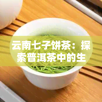 云南七子饼茶：探索普洱茶中的生熟之分